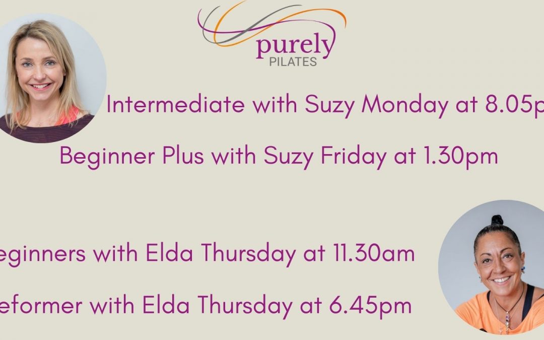 Suzy and Elda’s new classes