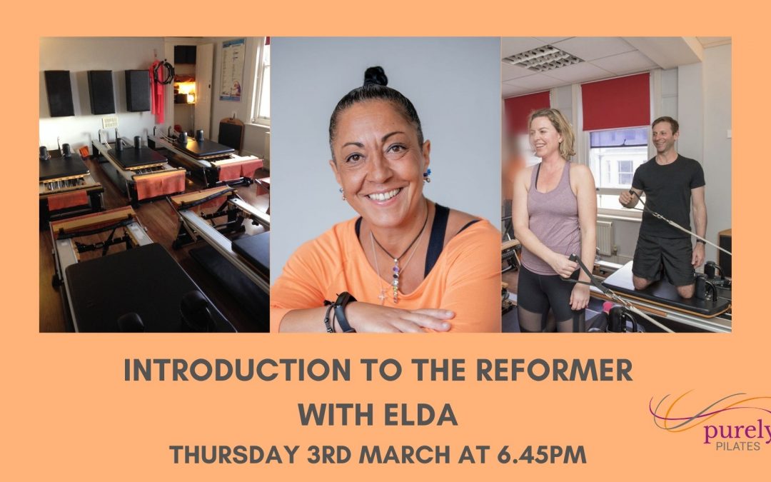 Introduction to Reformer with Elda